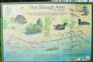 Photo 15- click for photo gallery